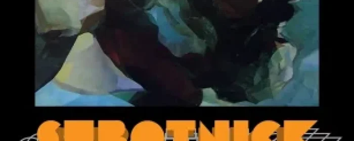 SUBOTNICK: Portrait of an Electronic Music Pioneer - Waveshaper Media